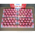 fresh apple fruit for sale
